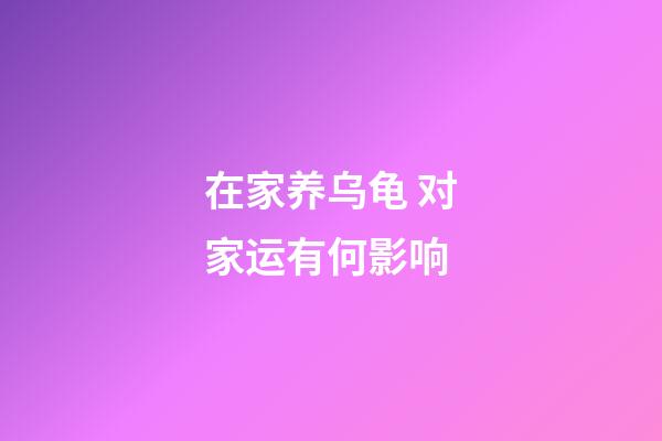 在家养乌龟 对家运有何影响